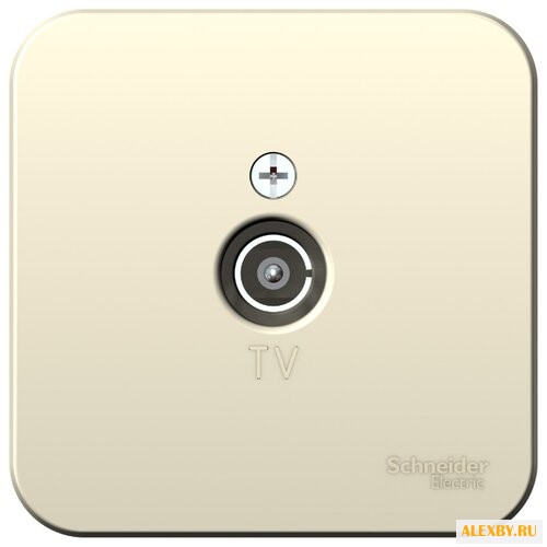 Антенное гнездо Schneider