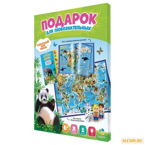 Обучающий набор ГеоДом Подарок