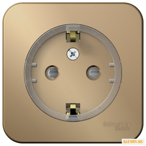 Розетка Schneider Electric