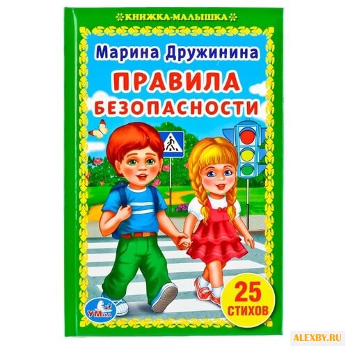 Дружинина М. Правила безопасности