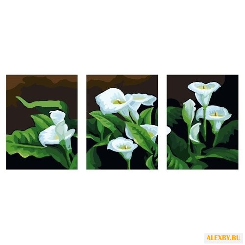 Hobbart Картина по номерам