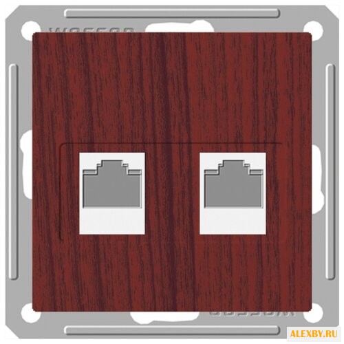 Розетка для интернета