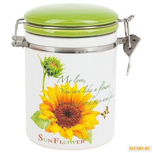 ENS Банка для сыпучих продуктов