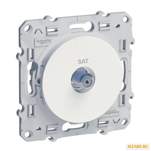 Антенное гнездо Schneider