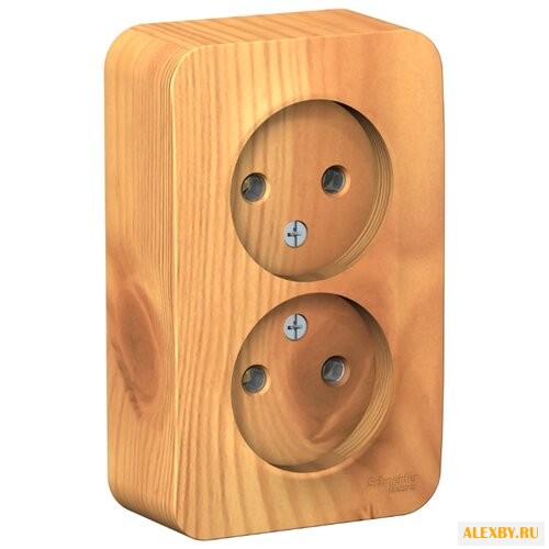 Розетка Schneider Electric