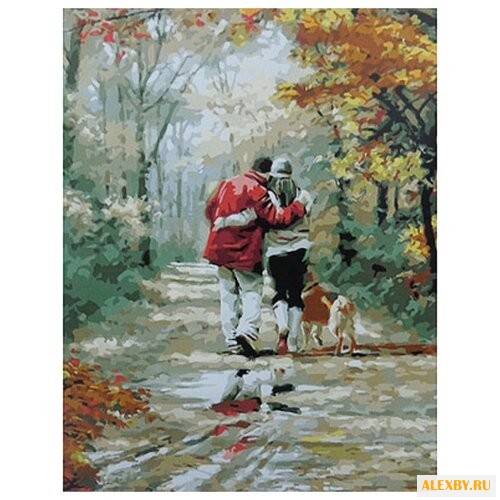 Paintboy Картина по номерам