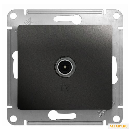 Антенное гнездо Schneider