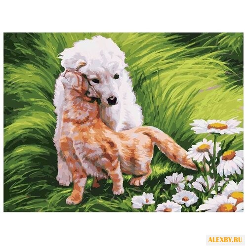 Белоснежка Картина по номерам