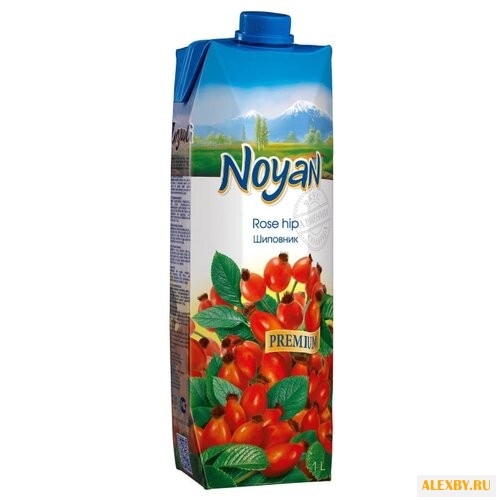 Напиток сокосодержащий Noyan