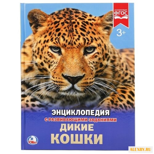 Дикие кошки