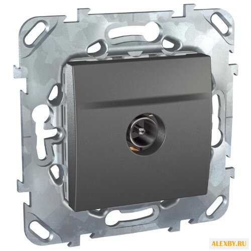 Антенное гнездо Schneider