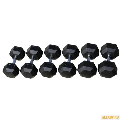 Набор гантелей неразборных Body