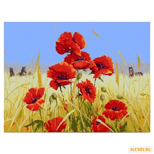 Color Kit Картина по номерам