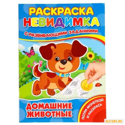 Умка Раскраска-невидимка с