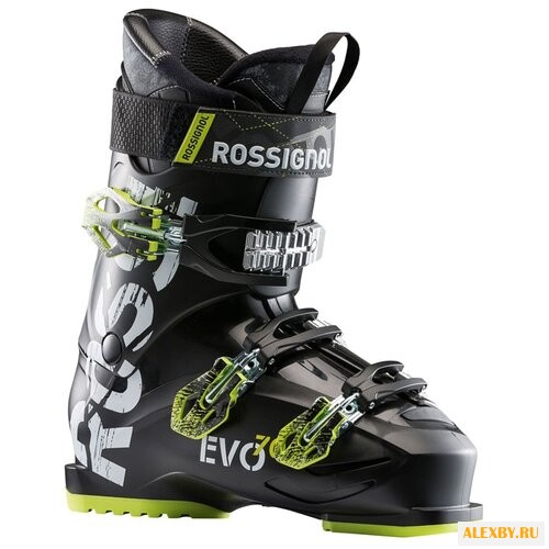 Ботинки для горных лыж