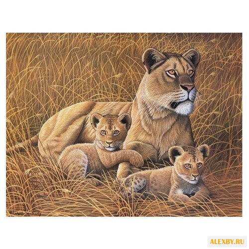 Royal & Langnickel Картина по