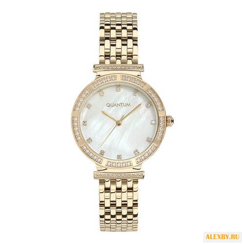 Наручные часы QUANTUM IML651.130