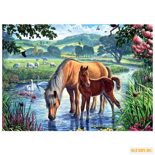 Paintboy Картина по номерам На