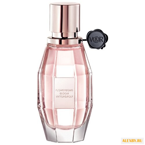 Viktor & Rolf Flowerbomb Bloom