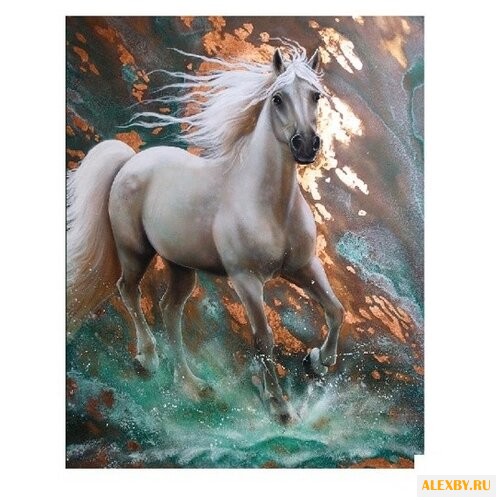 Molly Картина по номерам