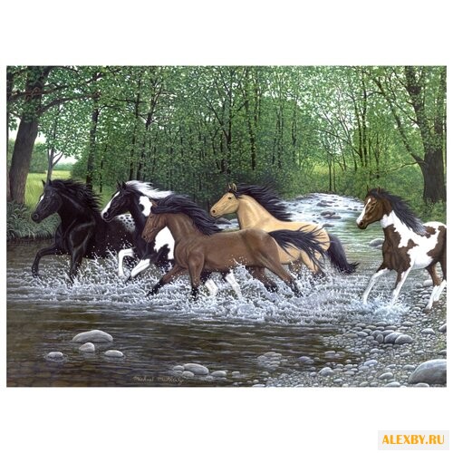 Royal & Langnickel Раскраска по