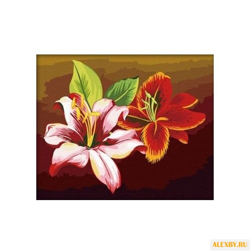 Hobbart Картина по номерам Две