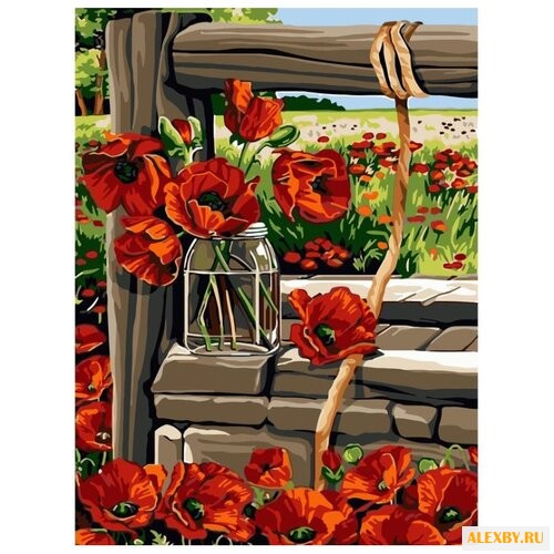 Paintboy Картина по номерам