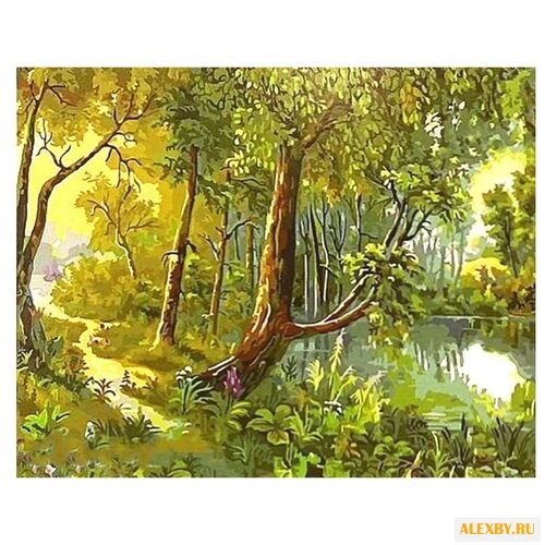 Paintboy Картина по номерам