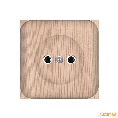 Розетка Schneider Electric