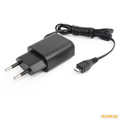 Сетевая зарядка ROBITON