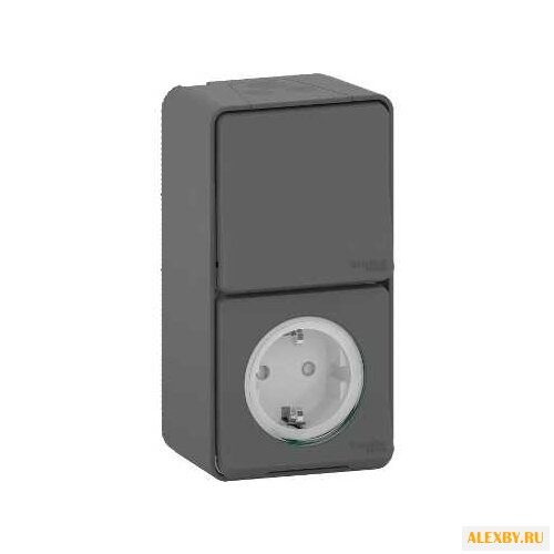 Блок комбинированный Schneider