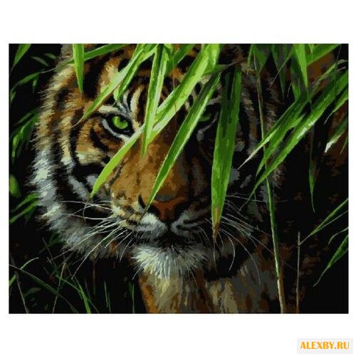 Paintboy Картина по номерам