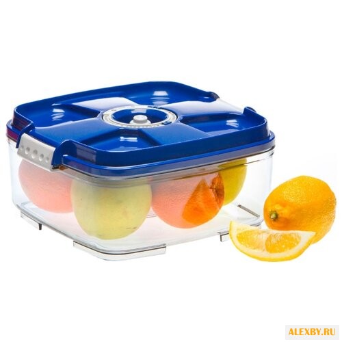 STATUS Контейнер вакуумный