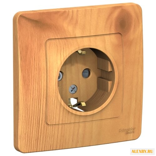 Розетка Schneider Electric