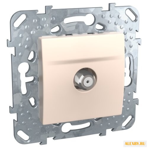 Антенное гнездо Schneider