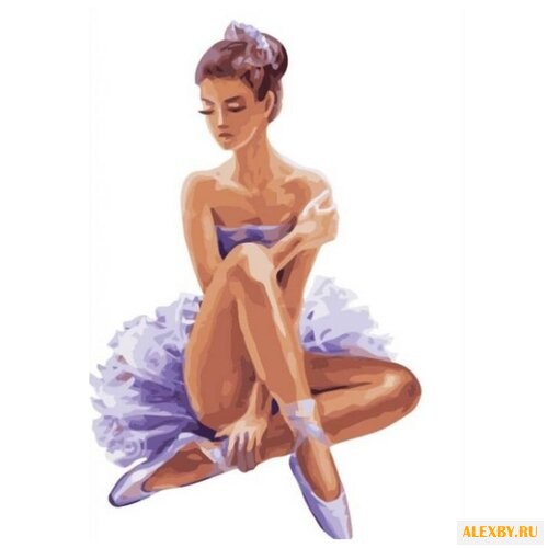 Menglei Картина по номерам На