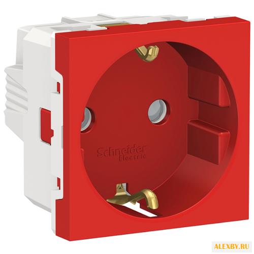 Розетка Schneider Electric