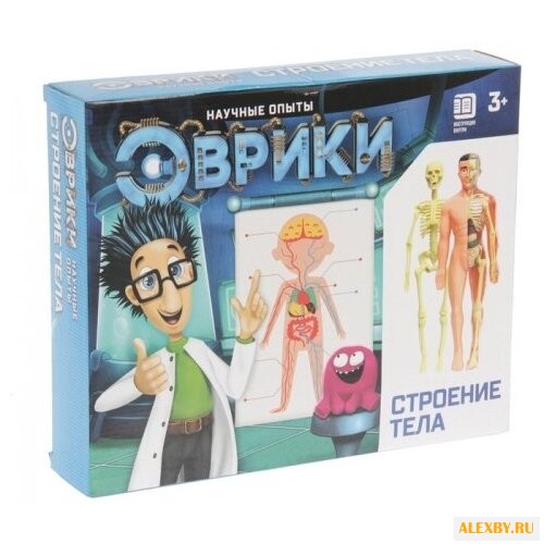 Набор ЭВРИКИ Строение тела