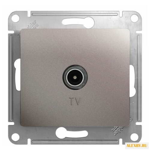 Антенное гнездо Schneider