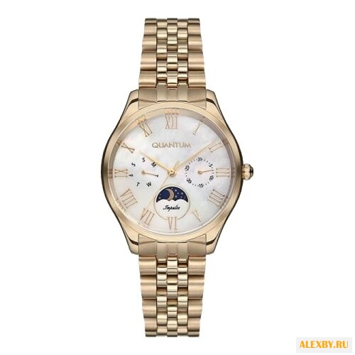 Наручные часы QUANTUM IML660.120