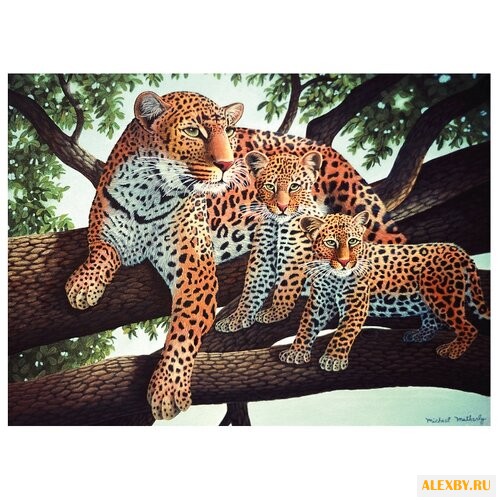 Royal & Langnickel Раскраска по