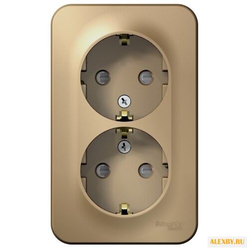 Розетка Schneider Electric