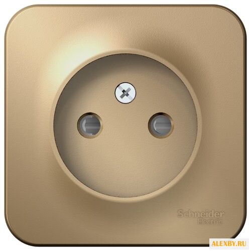Розетка Schneider Electric