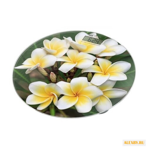 Весы Home Element HE-SC908