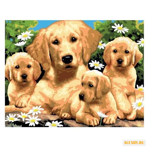 Royal & Langnickel Картина по