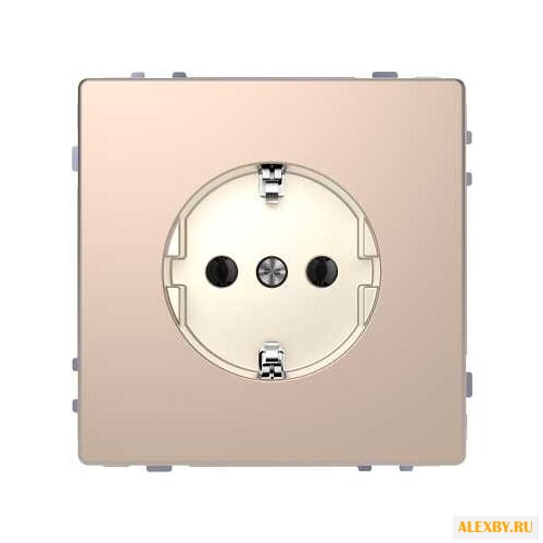 Розетка Schneider Electric