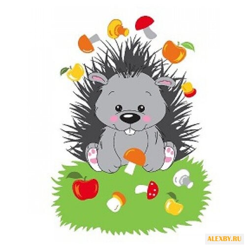 Molly Картина по номерам