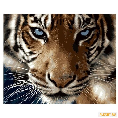 Paintboy Картина по номерам