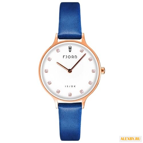 Наручные часы FJORD FJ-6041-03