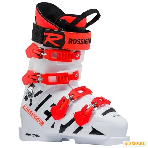 Ботинки для горных лыж